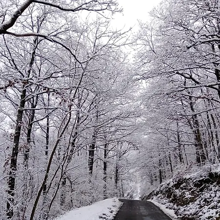 Louloudia Bonsoy Jaune 12 In Het Bos Met Mooi Uitzicht En Kalmte Holiday home Blaimont